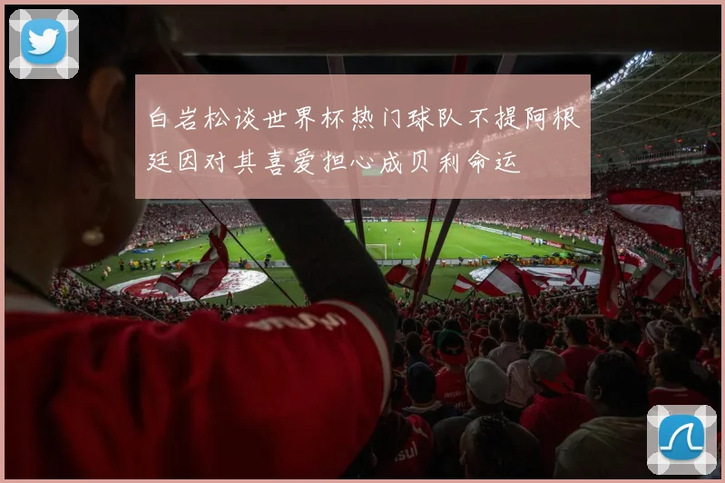 白岩松谈世界杯热门球队不提阿根廷因对其喜爱担心成贝利命运