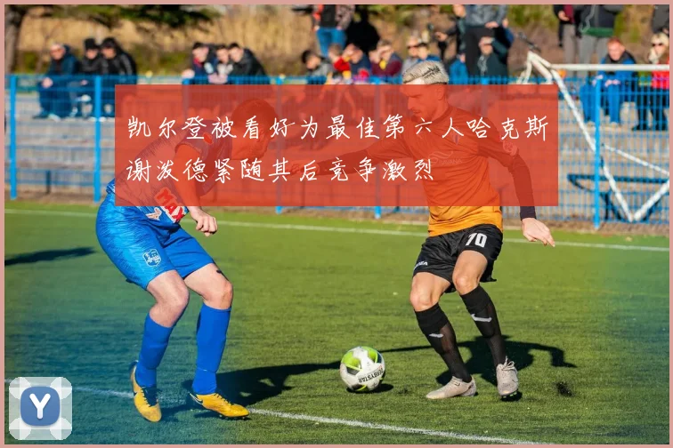 凯尔登被看好为最佳第六人哈克斯谢泼德紧随其后竞争激烈